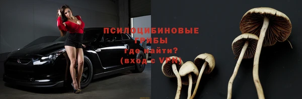 крисы Медногорск