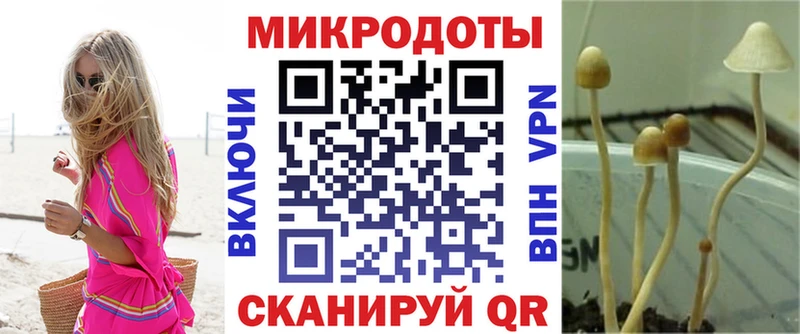 Псилоцибиновые грибы ЛСД  ссылка на мегу ONION  Алейск 