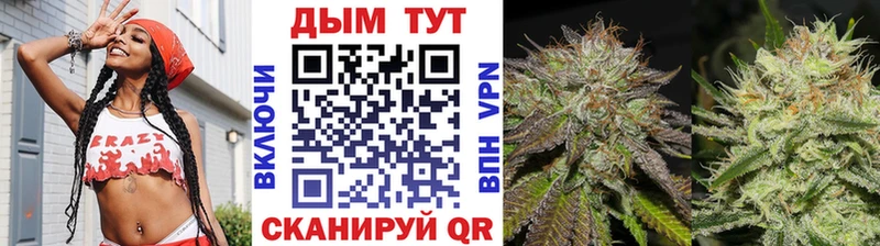 MEGA зеркало  цена   Алейск  Бошки Шишки конопля 